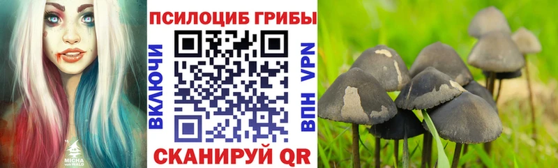 Купить закладки  Когалым  Псилоцибиновые грибы ЛСД 